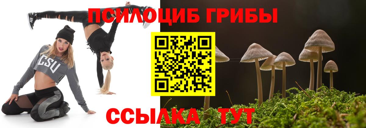 Псилоцибиновые грибы Psilocybe Кимры